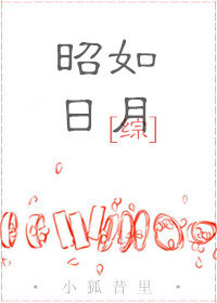 [综]昭如日月 小说