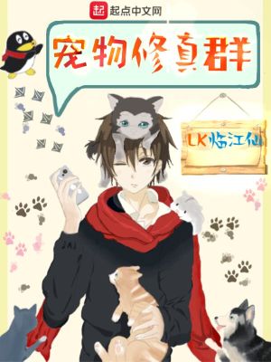 宠物修真小说
