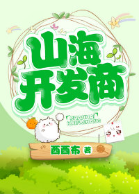 妄想山海开发商