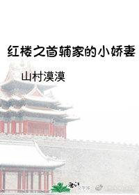 红楼之首辅家的小娇妻小说