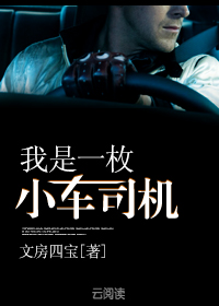 我是一名小司机