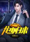 龙少归来 小说