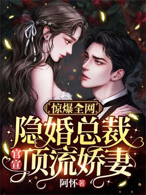隐婚总裁小说