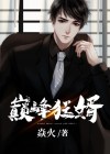 巅峰狂婿有声小说懒人听书网
