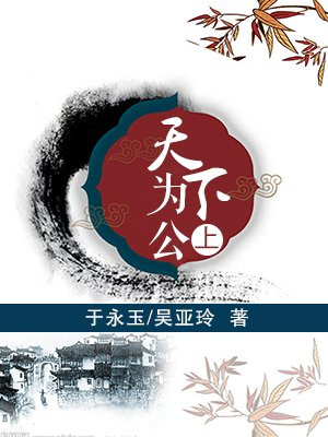 天下为公上篇之风云突变天若飞雪