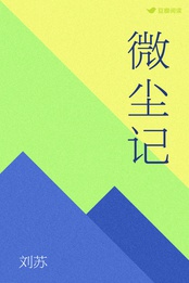 微尘记 刘苏