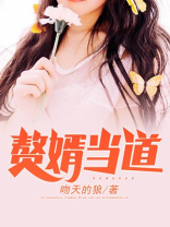 赘婿当道(又名:神都猛虎,主角:岳风)