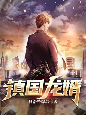 镇国龙婿叶辰