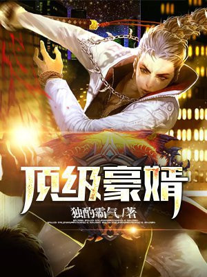 顶级豪婿