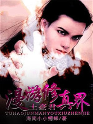 土豪君漫游修真界