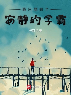 我只想做个安静的学霸 小说