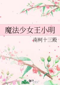魔法少女是谁
