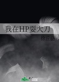 我在HP耍大刀以前的名
