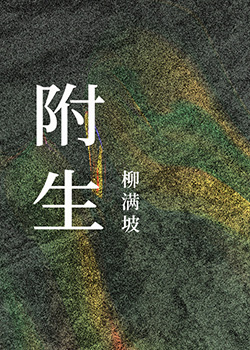 附生柳满坡姜翼是什么时候附生