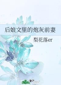 后娘文里的炮灰前妻讲什么