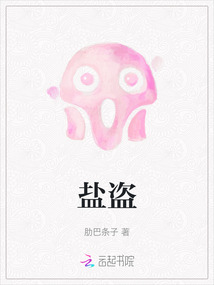 盐盗
