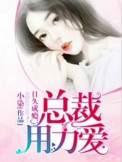 日久成瘾:总裁,用力爱 小染