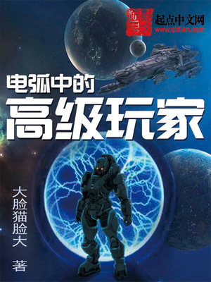 电弧中的高级玩家小说