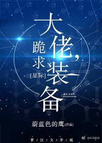 大佬跪求装备TXT下载