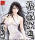 极品菜鸟什么时候写的