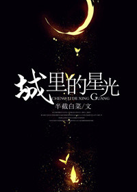 城里的星光 全文免费阅读