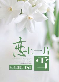 恋上一片雪小说全文阅读