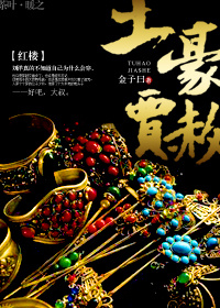 红楼之赦大土豪