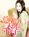 总裁的天价小妻子,我比较喜欢的都市言情小说