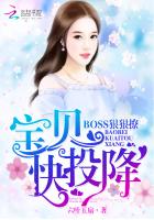 boss狠狠撩你小说