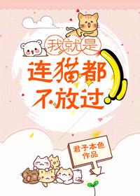 我就是连猫都不放过的说说