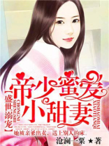 帝少蜜爱小甜妻 小说