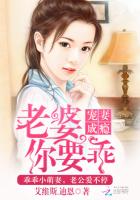 宠妻成瘾老婆你要乖讲的什么