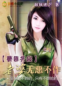 警匪共寝:老婆无恶不作小说