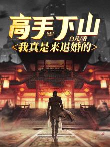 高手下山叶北辰