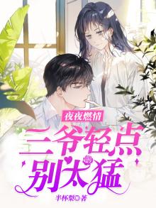 夜夜燃情三爷轻点别太猛