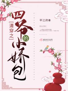 清穿之四爷的小娇包好看吗