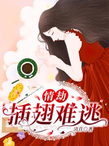情劫:插翅难逃