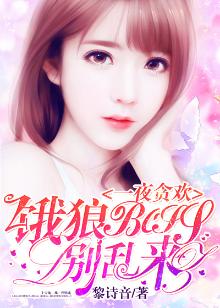 一夜狼角色系列攻略