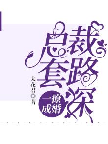 总裁撩妻有一套