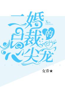 二婚总裁的心尖宠免费阅读