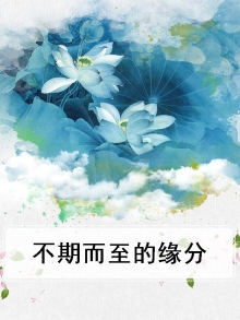 不期而遇的爱情