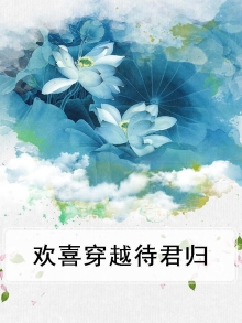欢喜穿越待君归