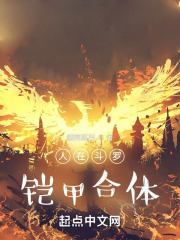 人在铠甲小说