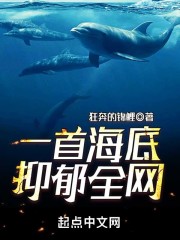 一首海底,抑郁全网小说