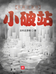 华娱之身怀小破站笔趣阁