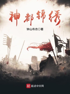 锦绣都市 小说