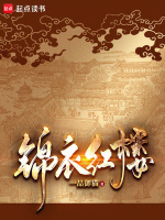 锦衣红楼笔趣阁