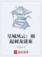 皇城风云录全文阅读