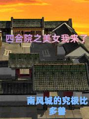 四合院之美女我来了小说