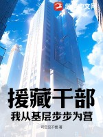 援藏干部真实情况